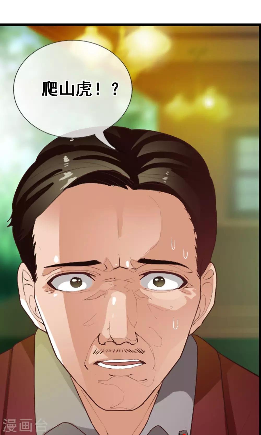 第41话 天陨石的来历