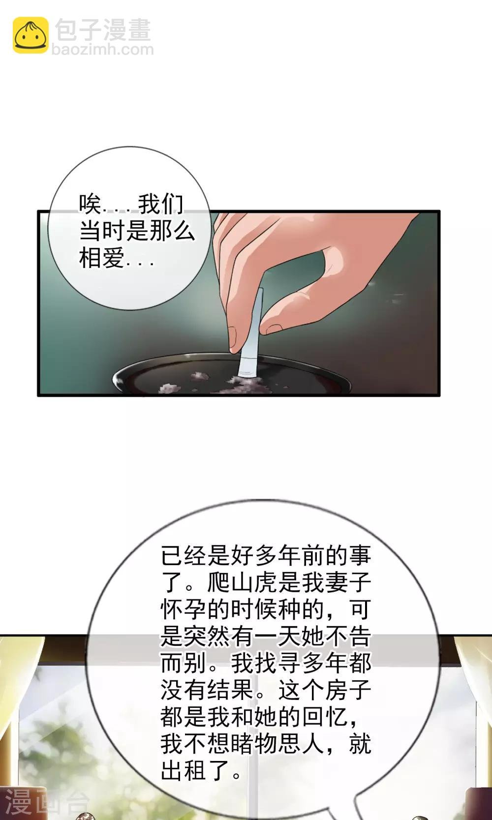第41话 天陨石的来历