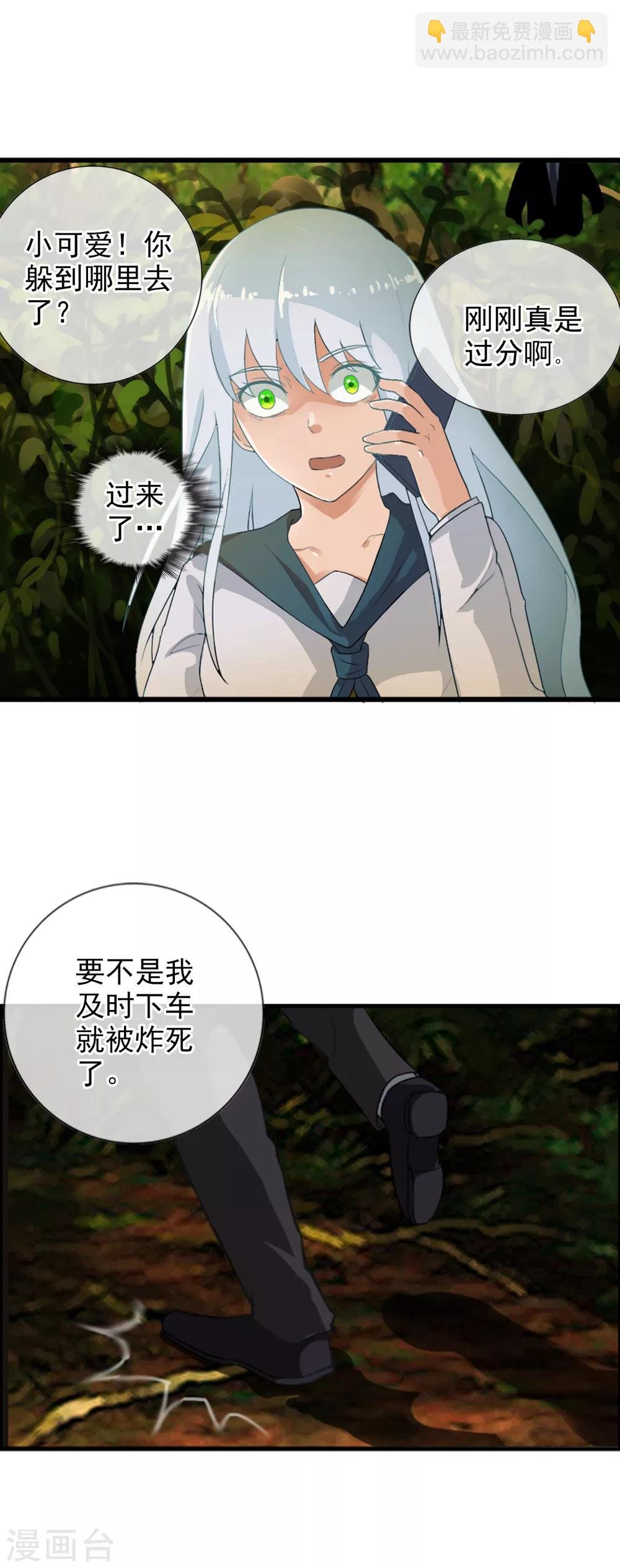 番外2 白亦妆番外下