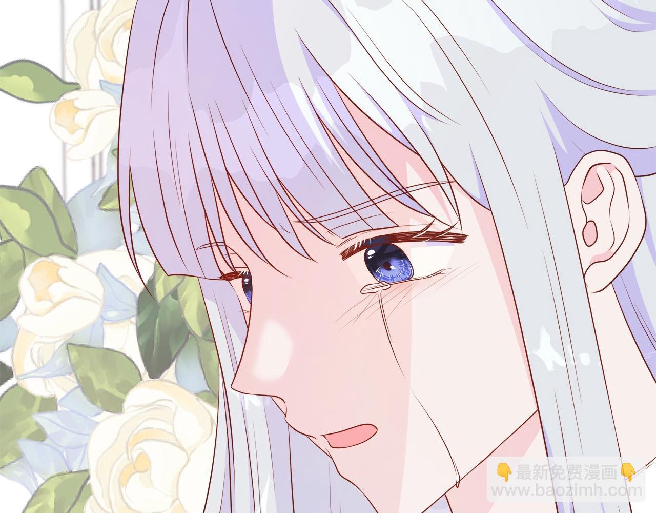 第102话 苏珊的提议