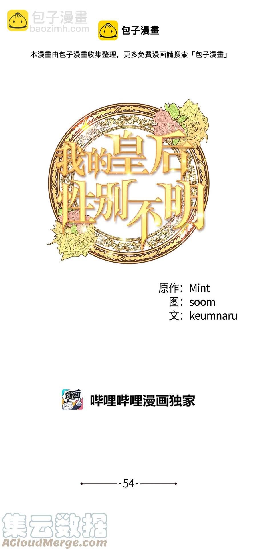 54 矛盾的缇索尔