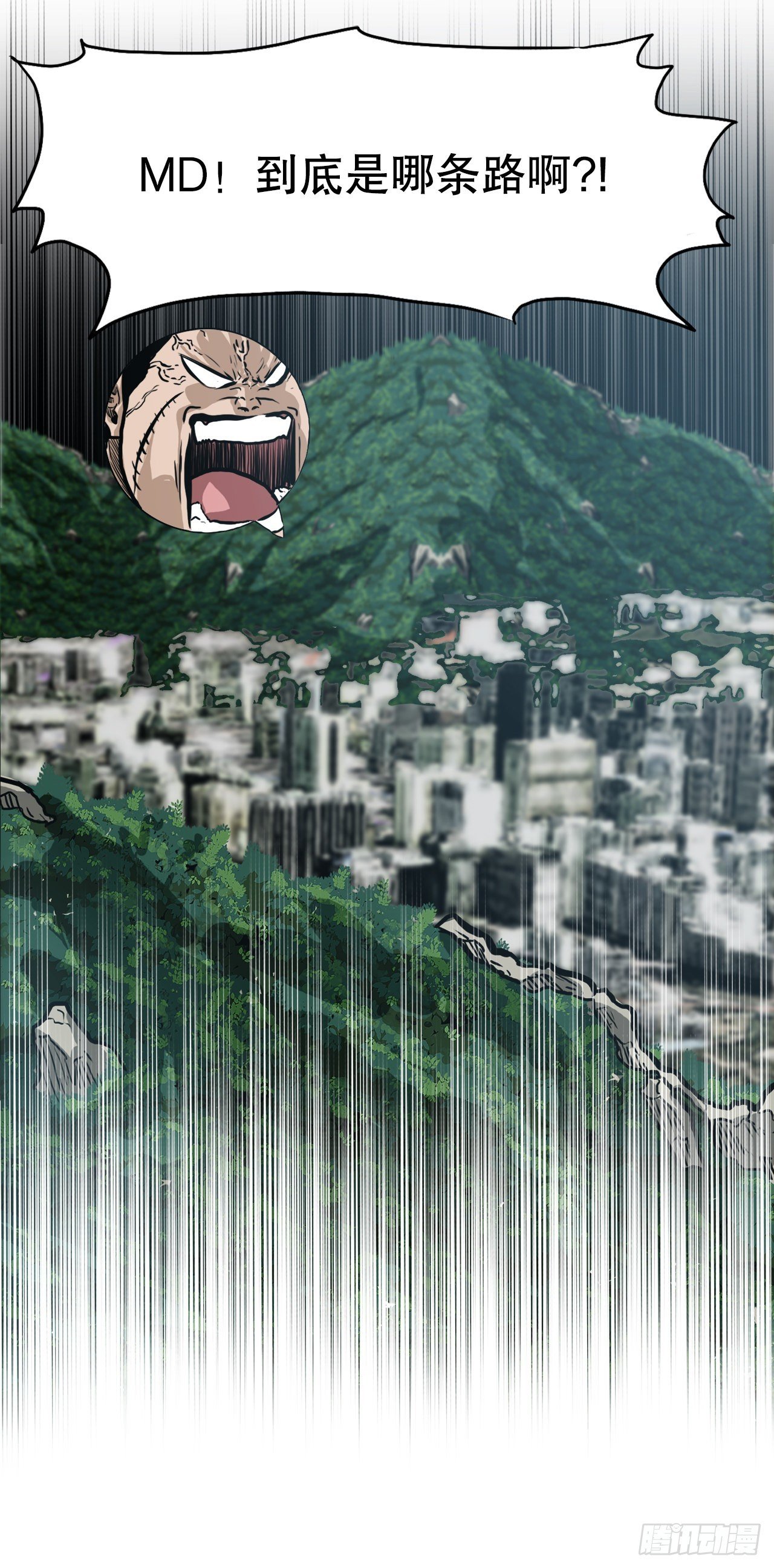 134.斗狗场