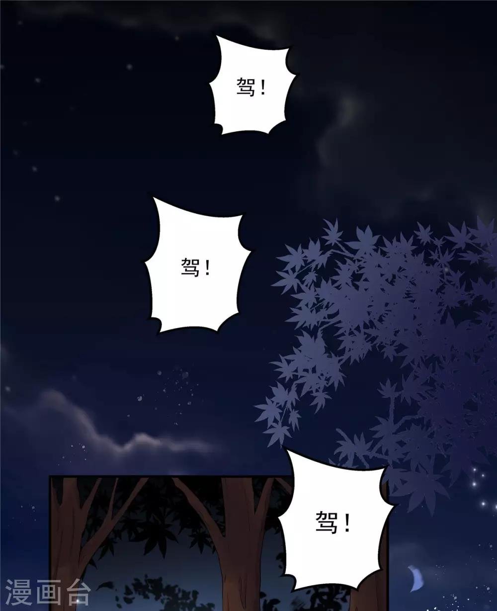 第36话 我们的将军铁树开花了