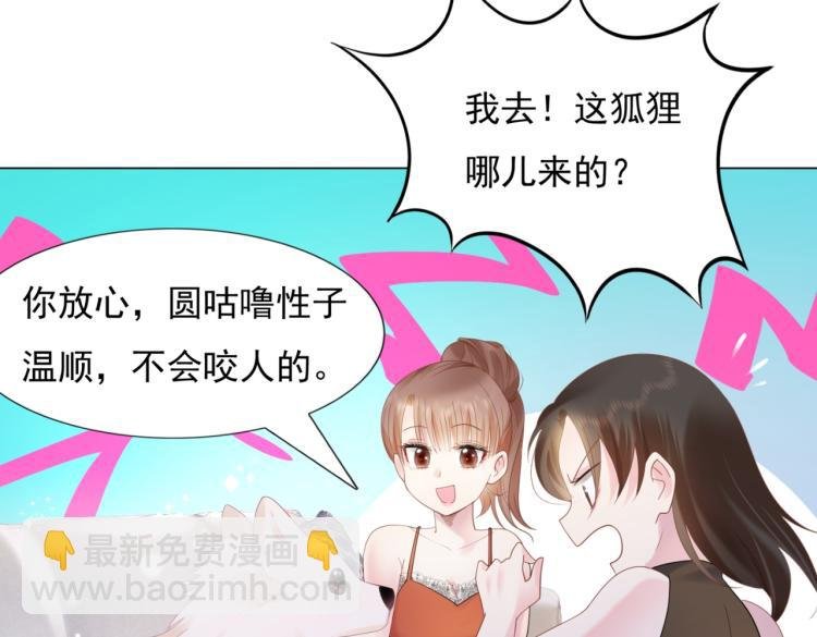 第2话 遛狗情缘