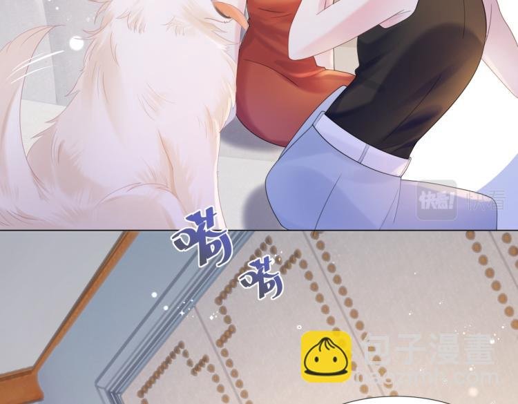 第2话 遛狗情缘