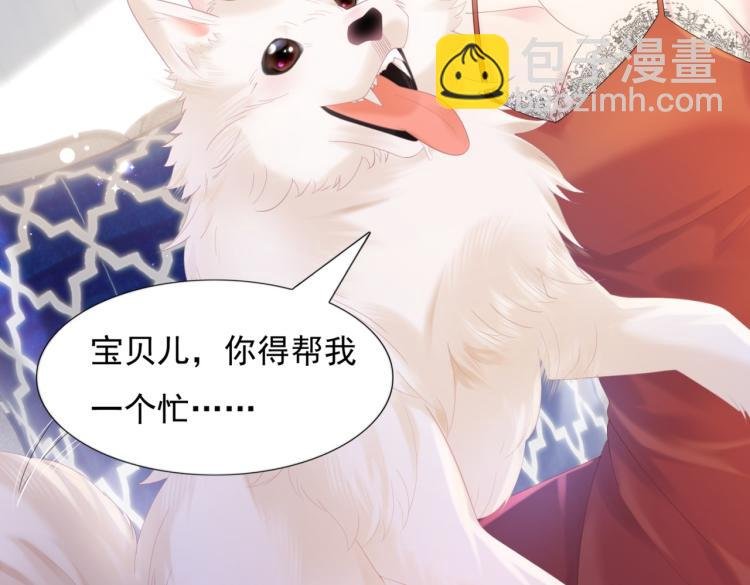 第2话 遛狗情缘