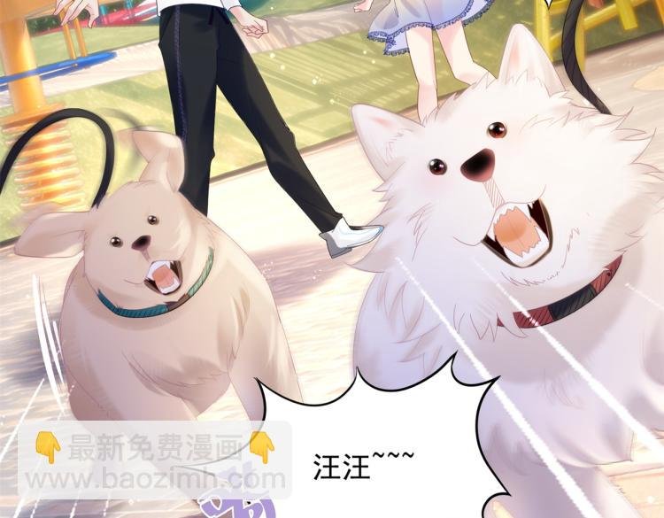 第2话 遛狗情缘