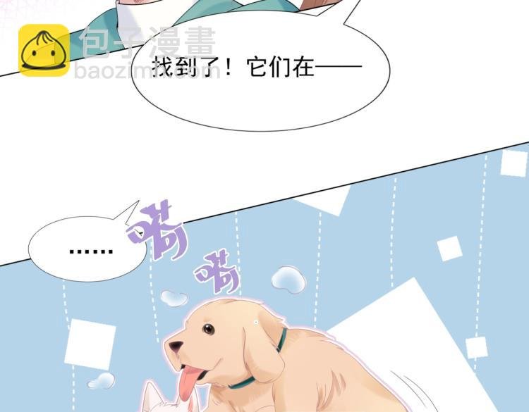 第2话 遛狗情缘