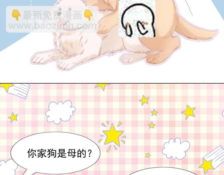 第2话 遛狗情缘