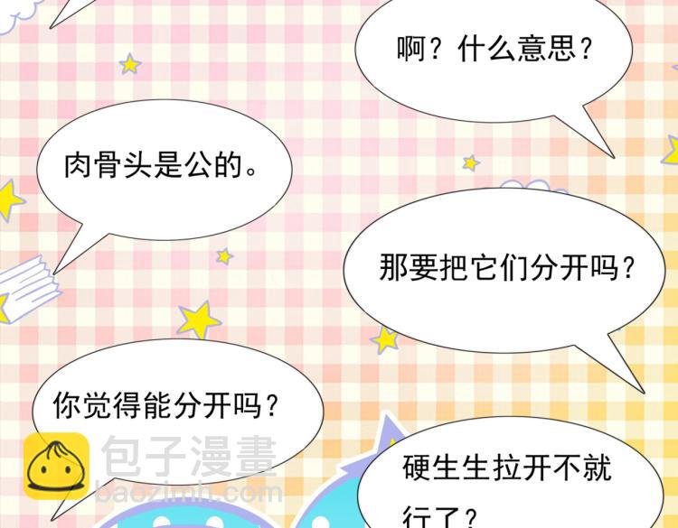 第2话 遛狗情缘