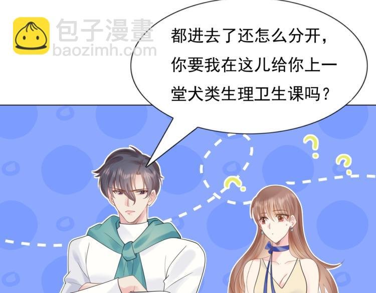 第2话 遛狗情缘