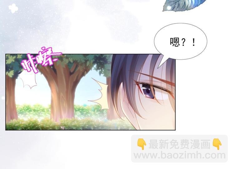 第2话 遛狗情缘