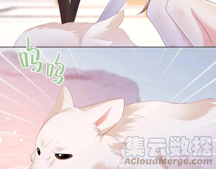 第41话 这该不是……要生了？