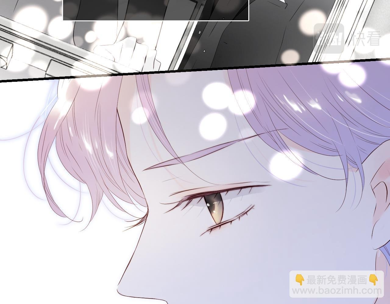 第81话 狐狸和刺猬（上）