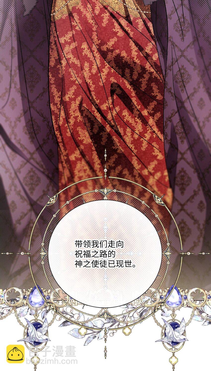 113 艾尔兰的身份