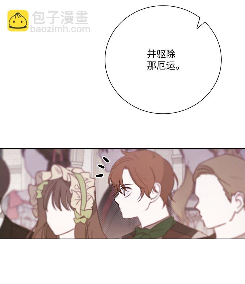 113 艾尔兰的身份