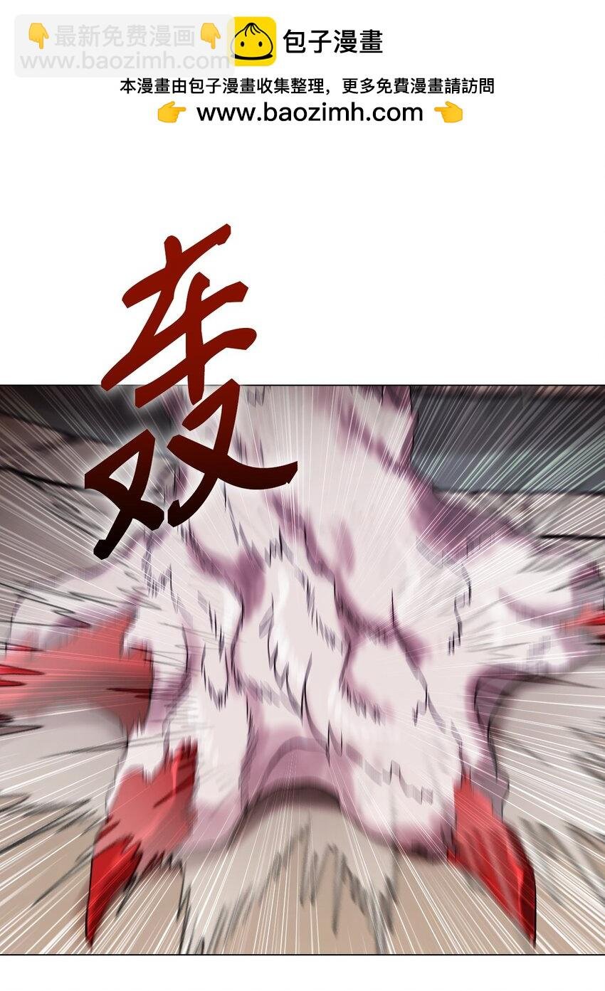 113 艾尔兰的身份