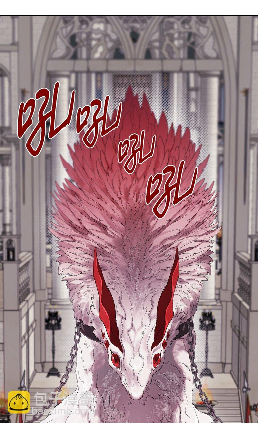 113 艾尔兰的身份