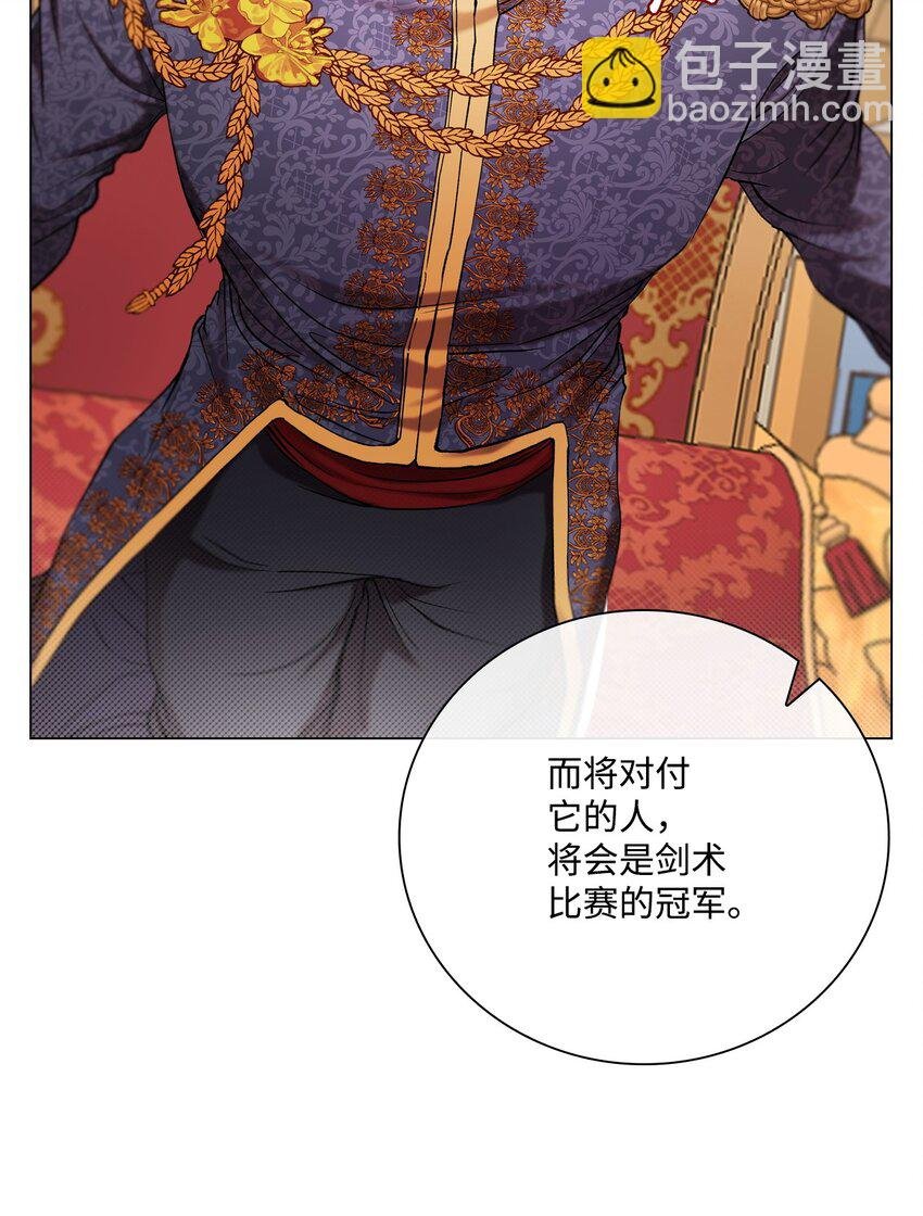 113 艾尔兰的身份