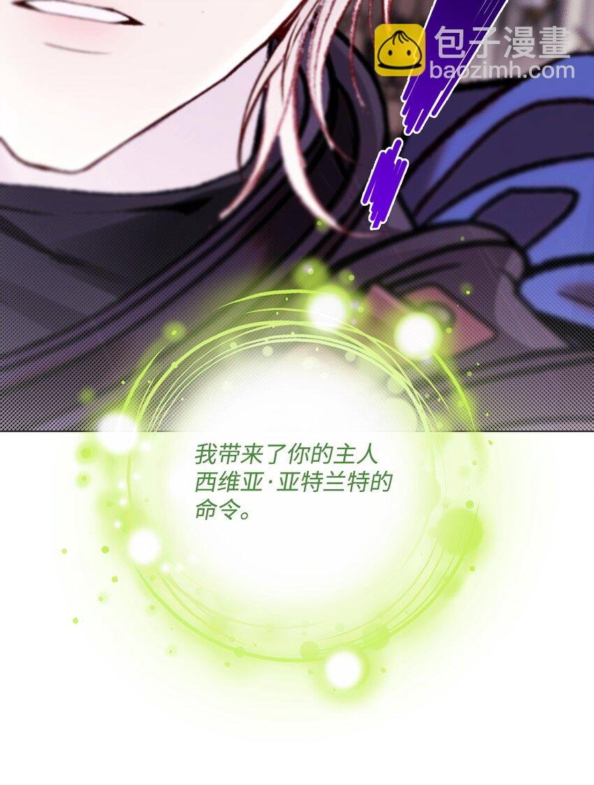 113 艾尔兰的身份