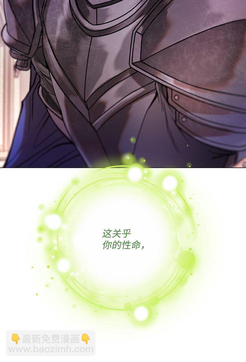 113 艾尔兰的身份