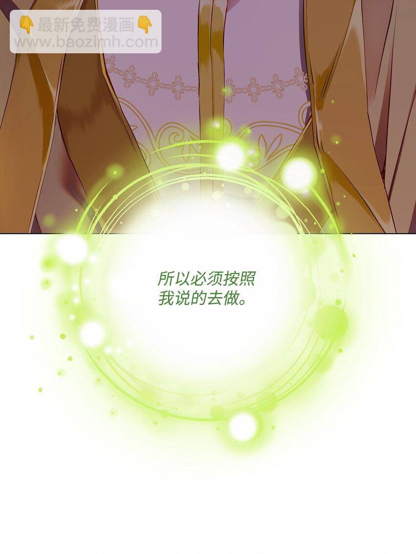 113 艾尔兰的身份