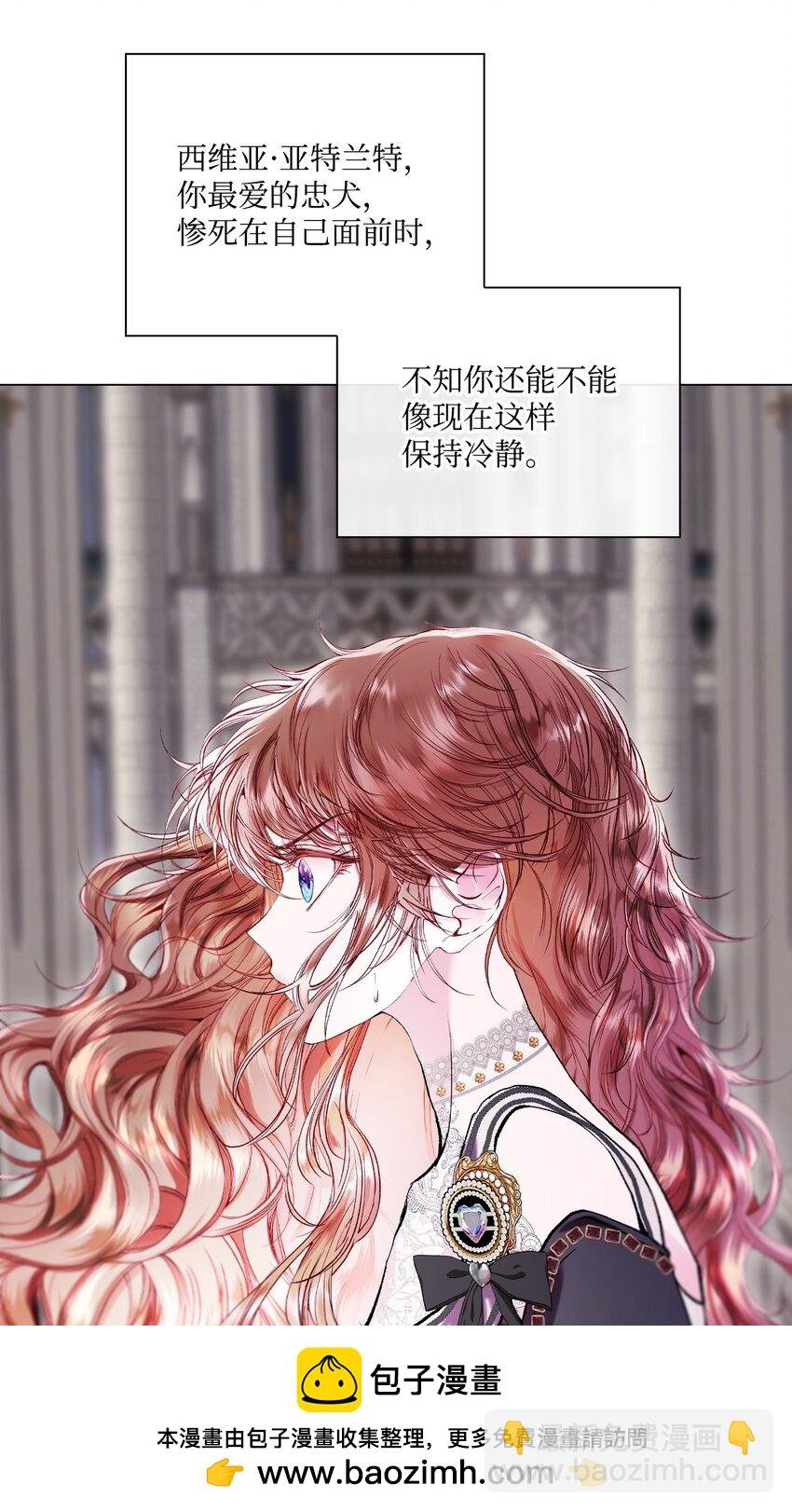 113 艾尔兰的身份