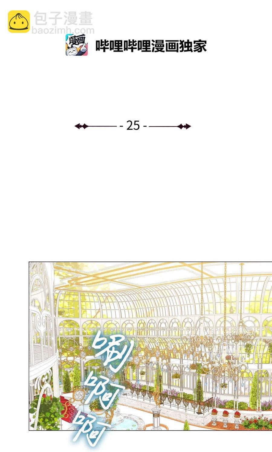25 阴谋
