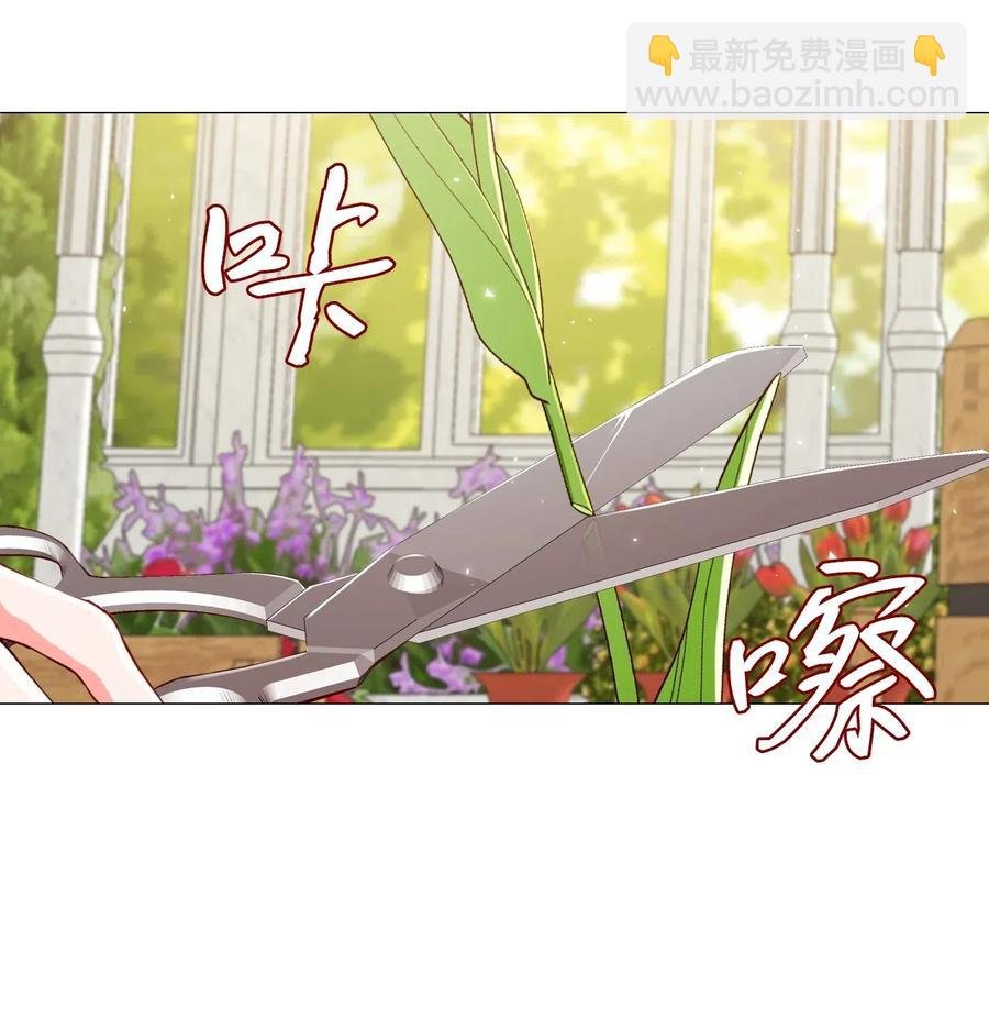 25 阴谋