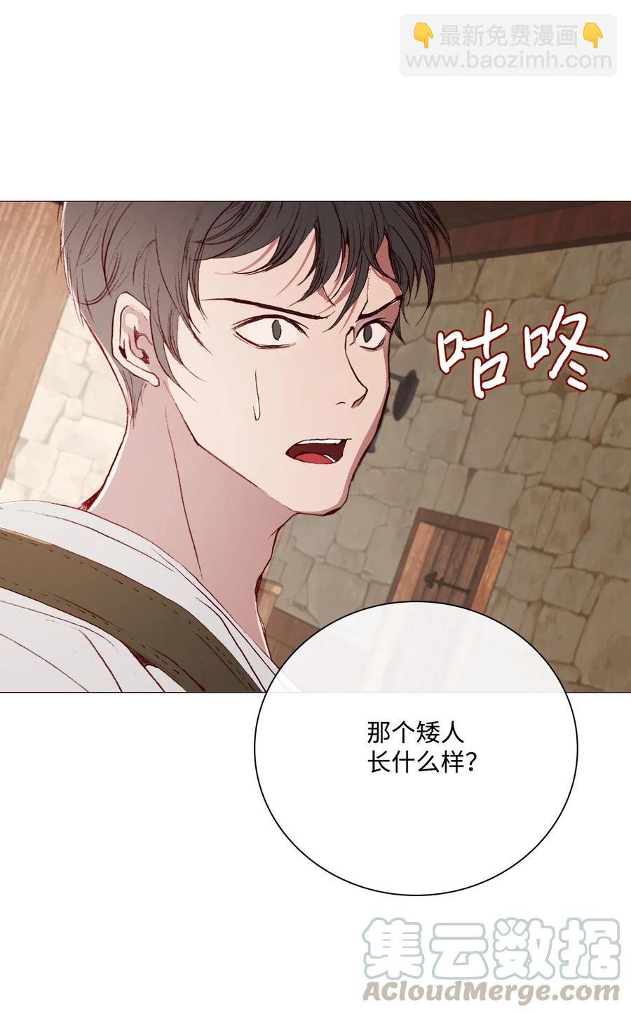 35 情报组织