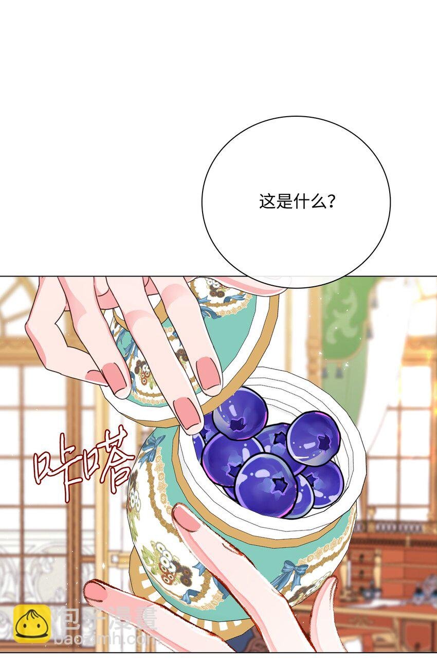 55 礼物