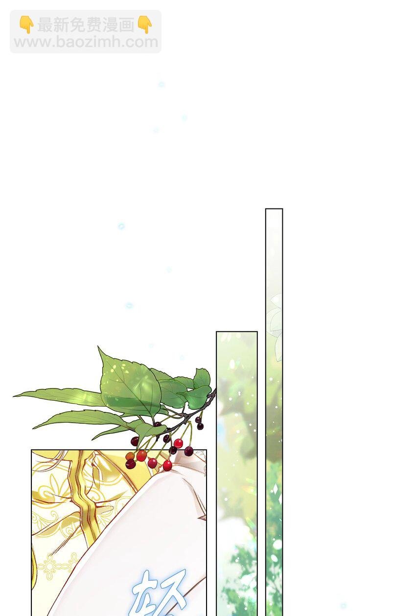 82 公爵的心意