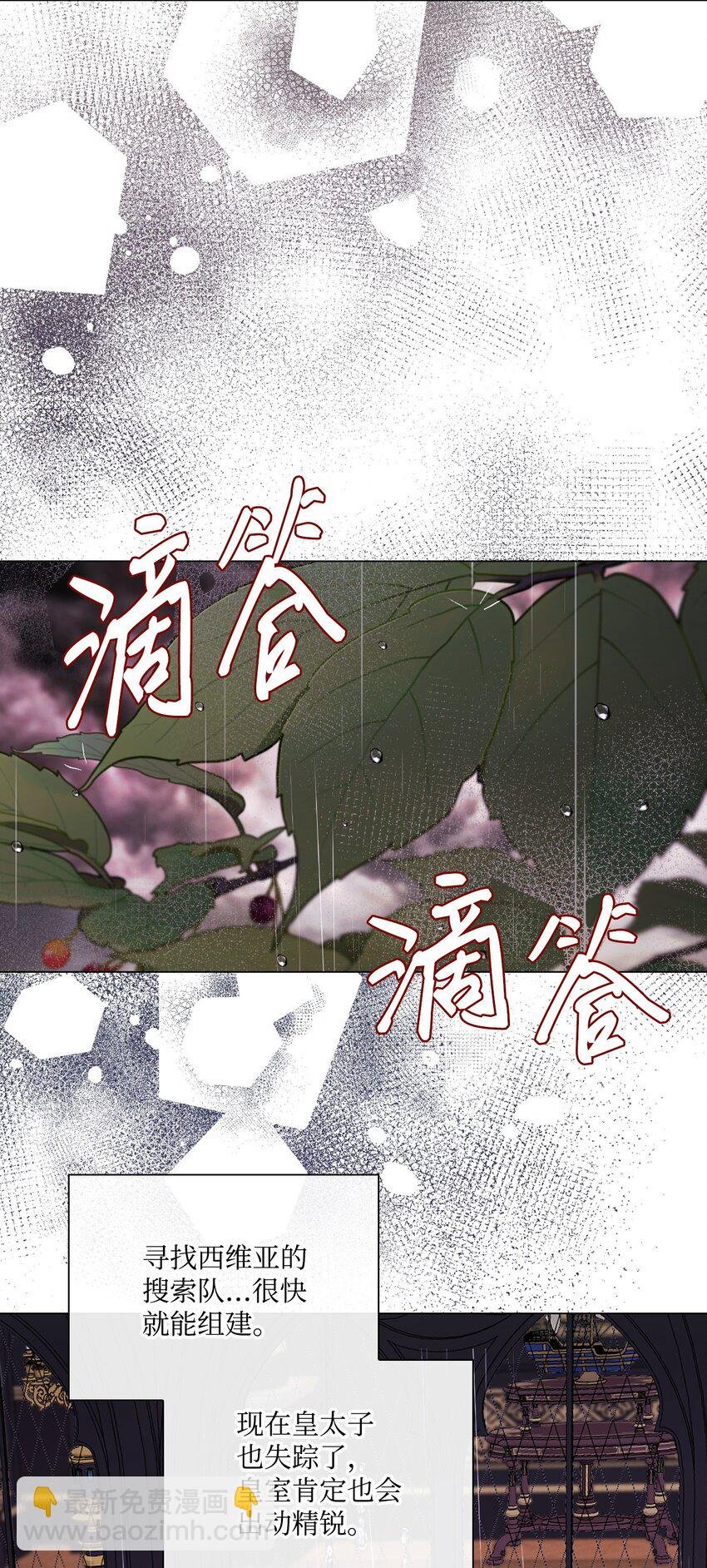 97 世界树种子