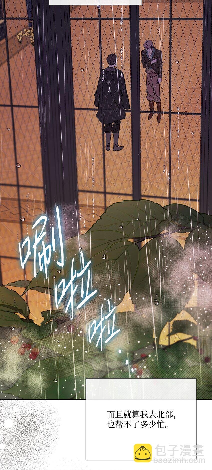 97 世界树种子