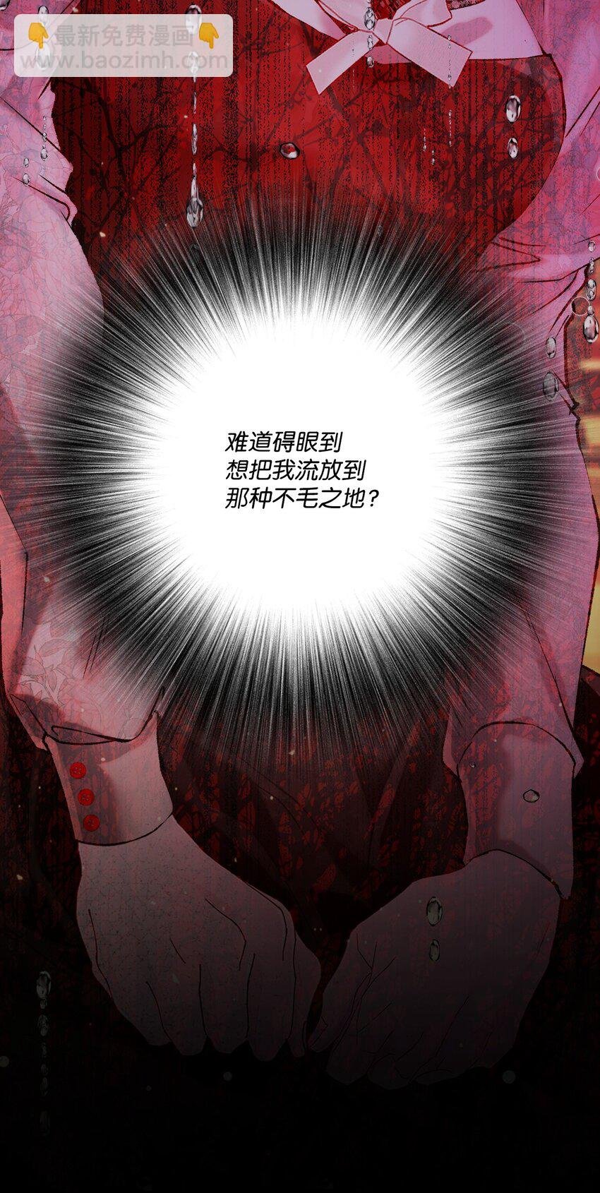 97 世界树种子