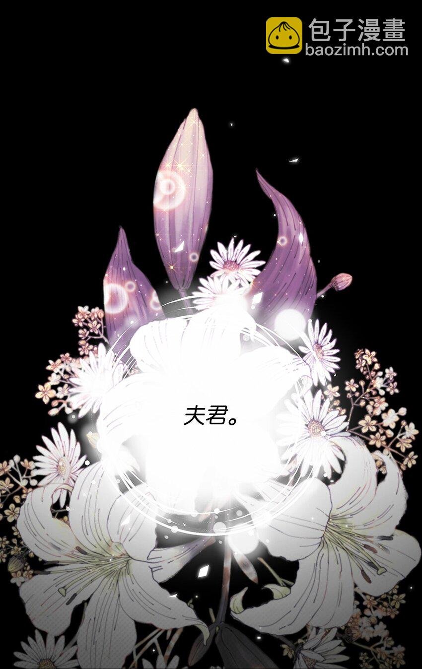 97 世界树种子