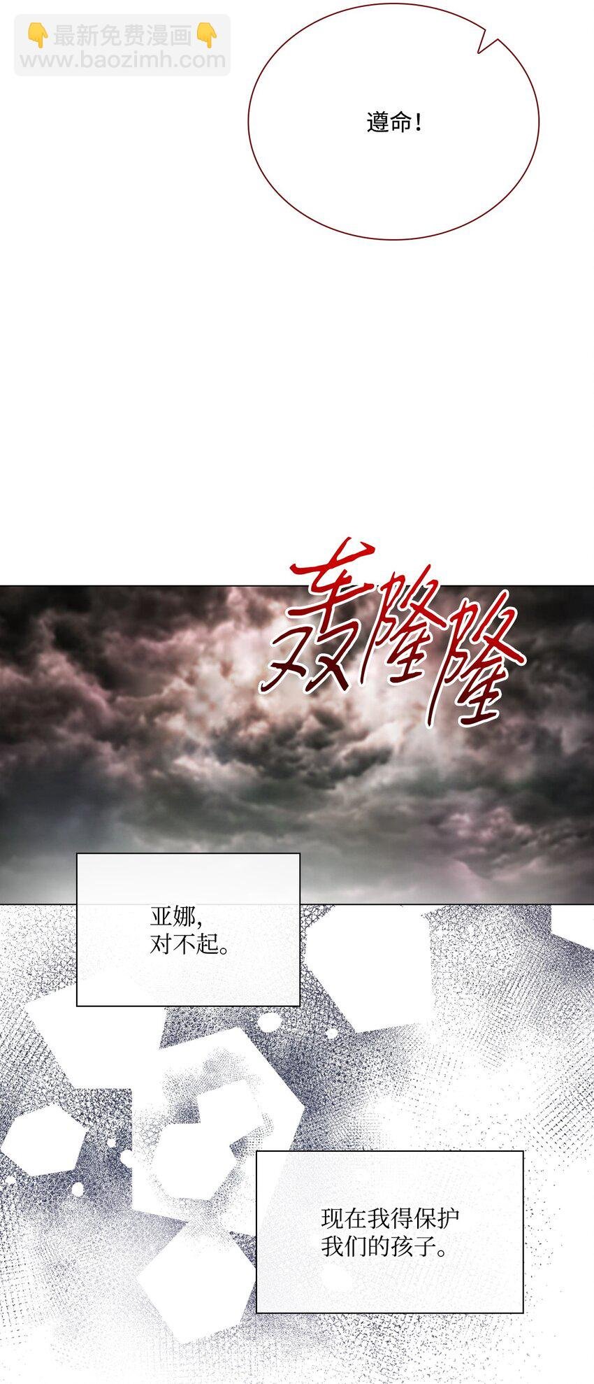 97 世界树种子