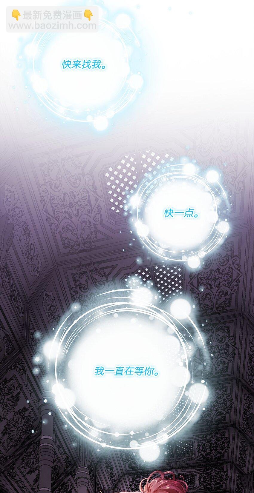 97 世界树种子