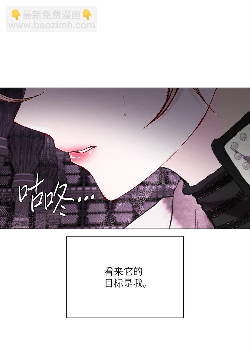 97 世界树种子