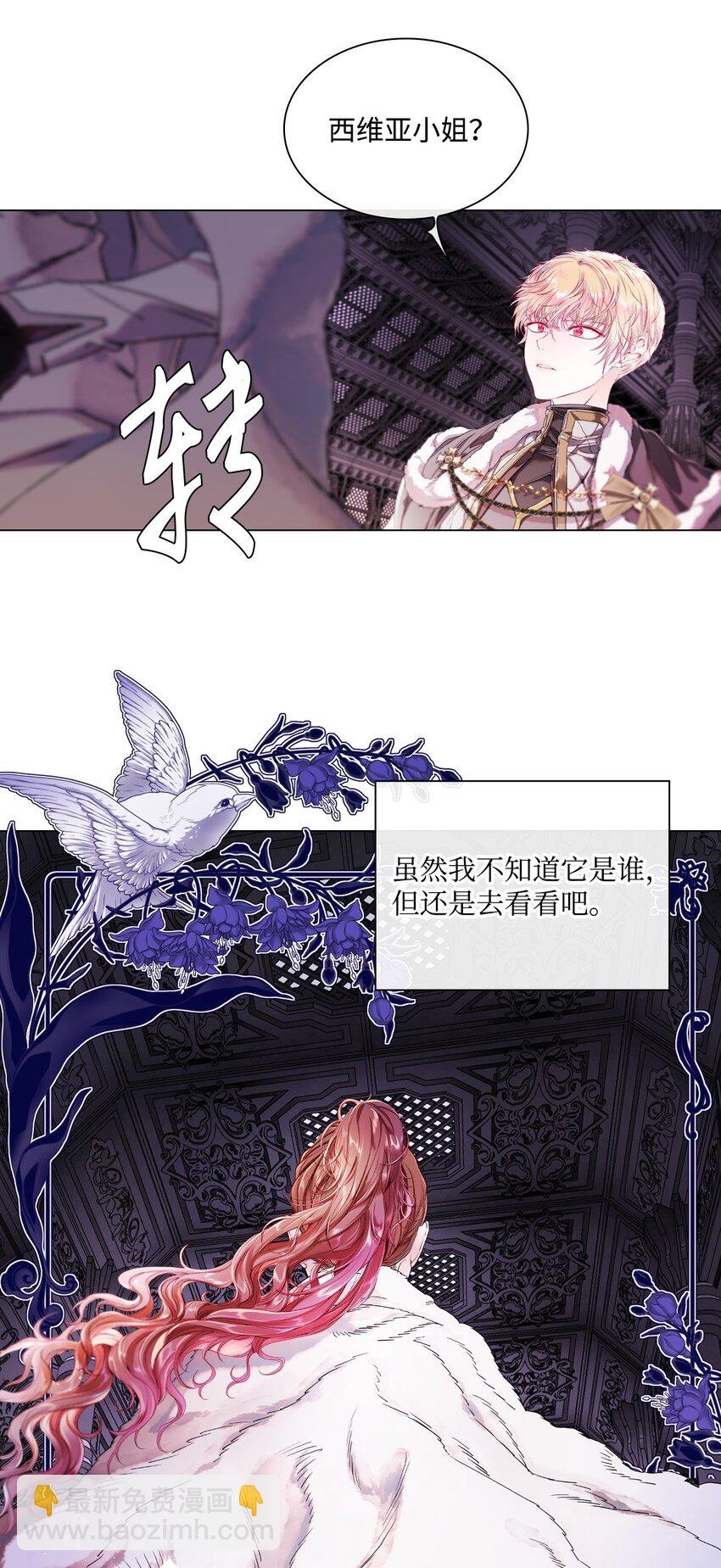 97 世界树种子