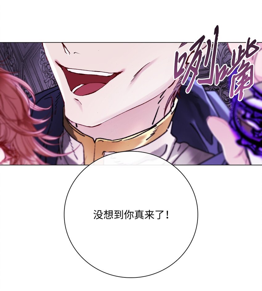 97 世界树种子
