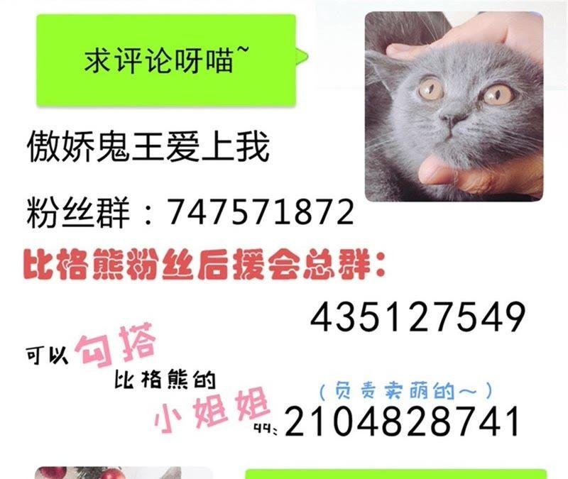 第101话 重振夫纲