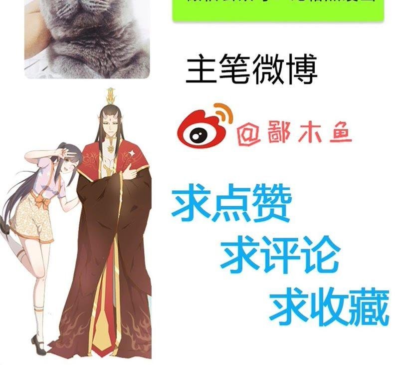 第113话 最重要的人