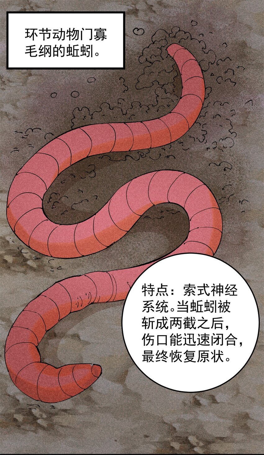 93 化身苏珊大妈