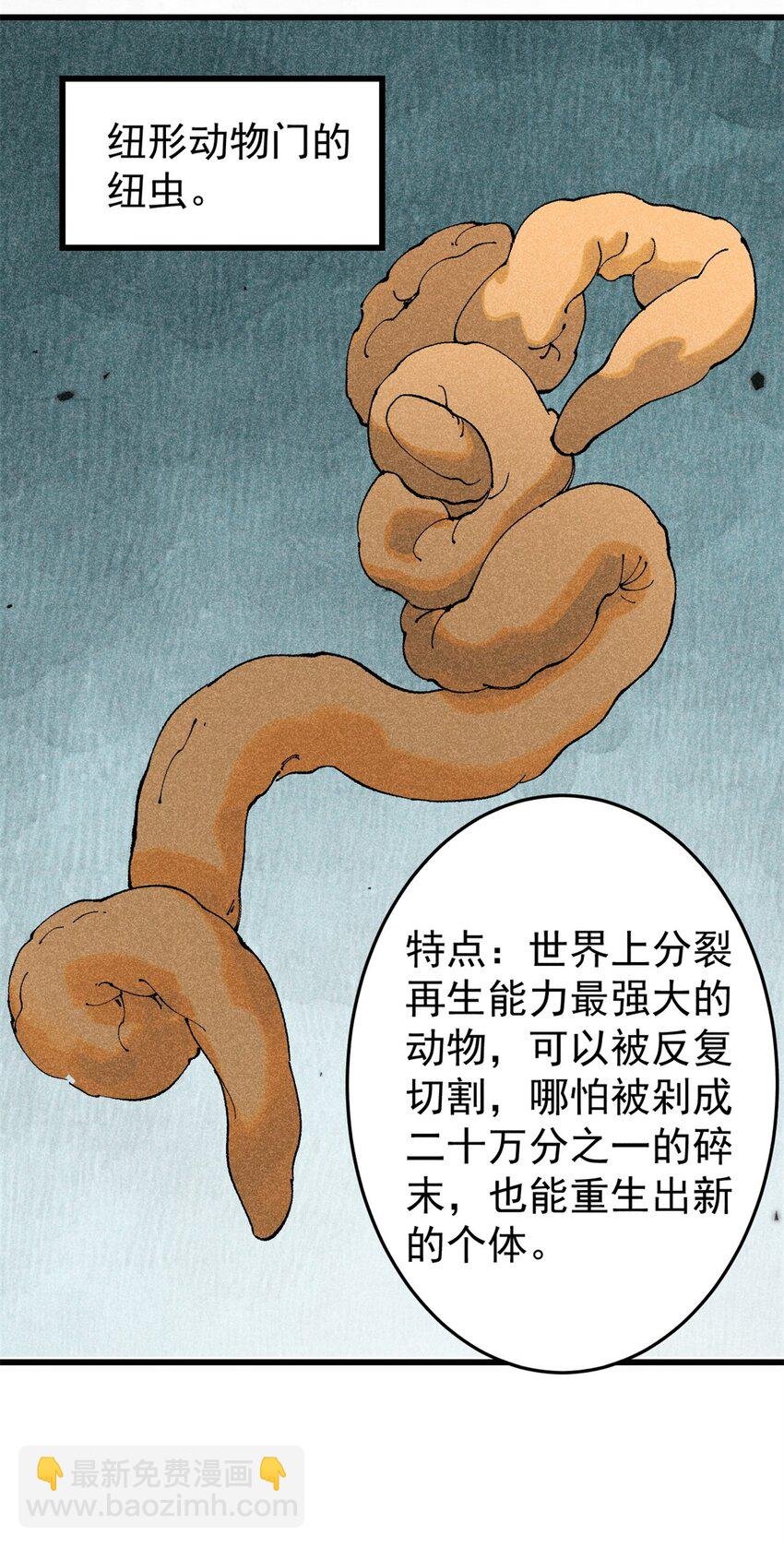 93 化身苏珊大妈