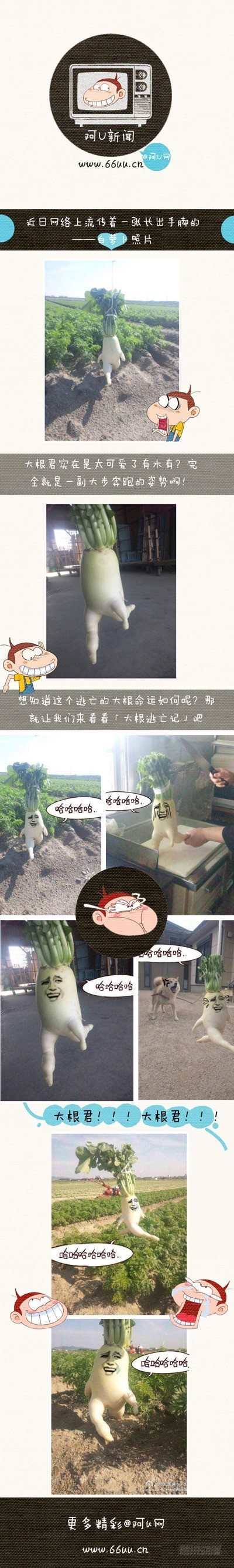 阿U微漫画：大根逃亡记