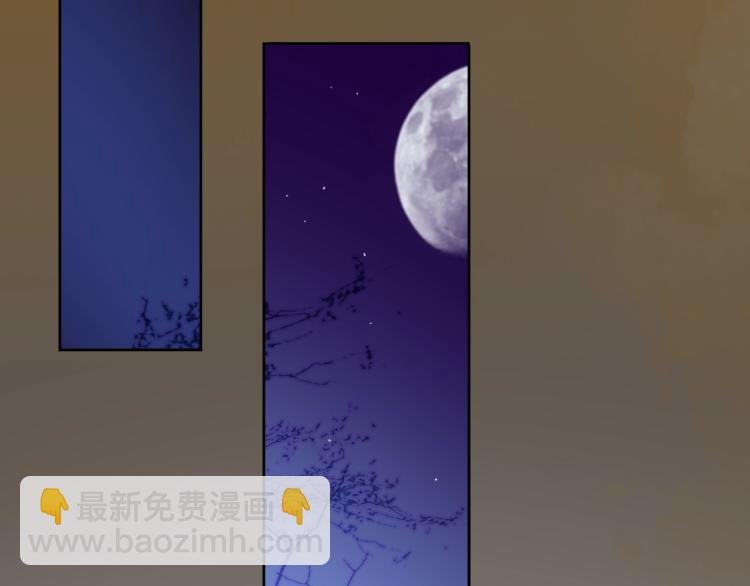 第16话 我的小懒猫