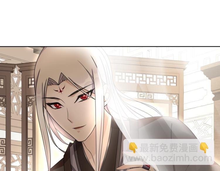 第16话 我的小懒猫