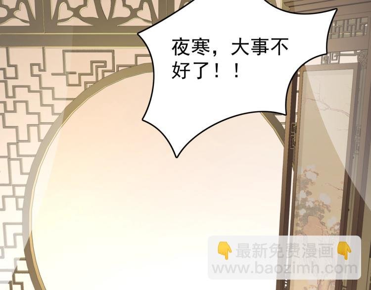 第16话 我的小懒猫