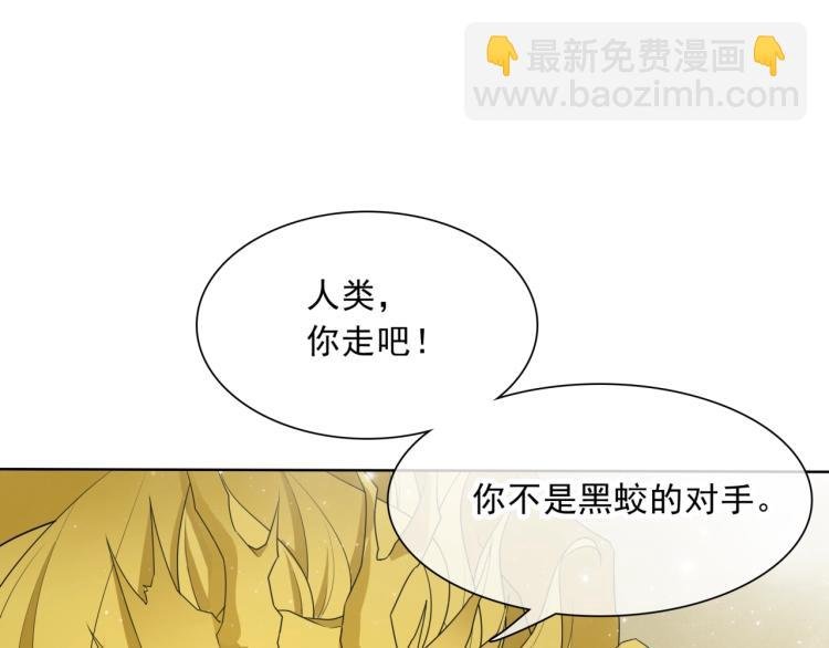 第36话 夫人陪我探寻